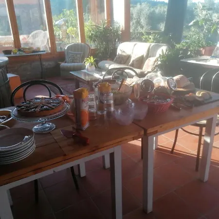 Farm stay Fattoria Antognoni